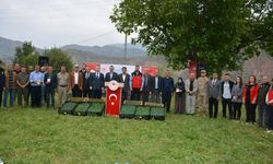 Hakkari'de üreticiye fide desteği