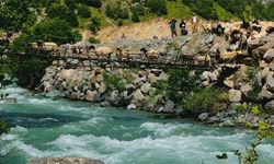 Avaşin Deresi’ndeki asma köprüden geçen koyun sürüsü görenleri hayran bıraktı