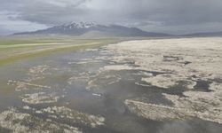 Bitlis’in saklı güzellikleri: Cil Gölü ve Sütey Yaylası