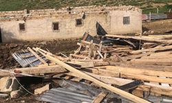 Yüksekova’da Fırtına Ahırın Çatısını Uçurdu: Kuzular Yaralandı
