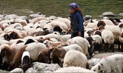 Bir çocuğun sessiz çığlığı: "Hiç oyuncağım olmadı"