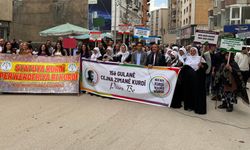 Kürt Dil Bayramı Yüksekova’da halaylar ile kutlandı