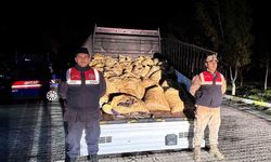 Van’da 3 ton 820 kilo kaçak avlanmış balık ele geçirildi