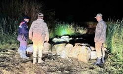 Van’da kaçak avlanmış 15 ton inci kefali ele geçirildi