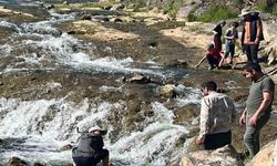 İnci kefalinin göçü yerli ve yabancı turistlerin ilgi odağı oldu