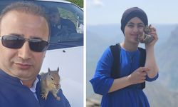 Sevimli Sincap Derecik'te Yeni Yuvasını Buldu