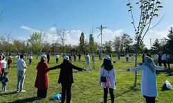 Van’da ‘Sağlık için hareket et" yürüyüşü
