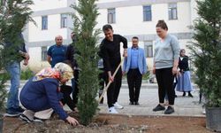 Hakkari’de fidan dikimi