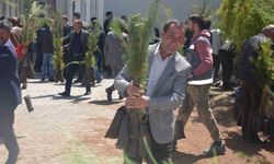 Bulanık’ta 5 bin çam fidanı dağıtıldı