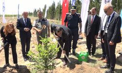 Türkiye’de 81 ilde 2,2 milyon fidan toprakla buluşacak