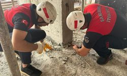 Şanlıurfa’da akıl almaz olay: Kalıbın içerisine giren kedinin üzerine beton döküldü
