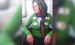Yüksekova’da Alzheimer hastası kadından 2 gündür haber alınamıyor