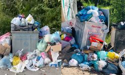 Şemdinli'nin Altınsu Köyünde Çöp Sorunu : Vatandaşlardan Tepki
