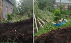 Yüksekova’da Kuvvetli Rüzgar ve Fırtına Ağaçları Yerinden Söktü