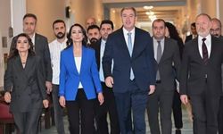 DEM Parti'den infaz düzenlemesine tepki