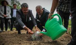 Vali Ali Çelik: Bu toprakları birlikte yeşerteceğiz