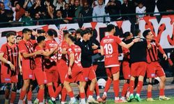 Van Barosu’ndan Tarafsız Saha Çağrısı