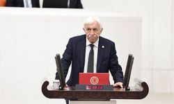 DEM Parti'nin Meclis Başkan adayı Cengiz Çandar oldu