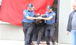 Denizli'de bebeği acımasızca darbeden şüpheli tutuklandı