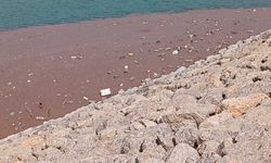 Dilimli Barajı’ndaki Kirlilik Tepki Çekiyor
