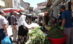 Dağlardan toplanan otlar hem şifa hem kazanç sağlıyor
