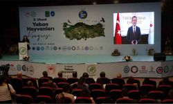 Van’da "3. Ulusal Yaban Hayvanları Kongresi" başladı