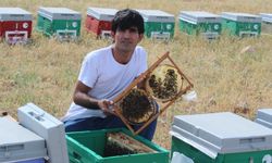 Siirtli arıcının arılarla kurduğu bağ görenleri şaşırtıyor