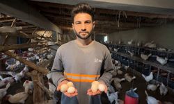 Yüksekovalı genç köyde kurduğu çiftlikle yumurta üretimine başladı