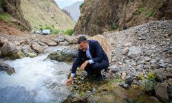 Vali Çelik’ten yayla yolunda inceleme