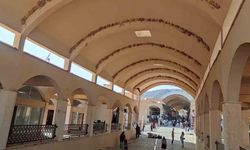 Tarihi Hasankeyf’i mesken edinen Kırlangıç kuşları çarşıyı yuvalarıyla donattı