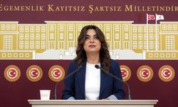 DEM Parti açıkladı! Çözüm süreci için Meclis’te komisyon kuruluyor