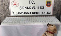 Şırnak’ta 281 bin 500 TL değerinde kaçak malzeme ele geçirildi