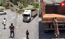 Hakkari’de Tıra Gizlenmiş 66 Kilo Metamfetamin Ele Geçirildi