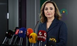 DEM Parti İmralı'ya gitmeye hazırlanıyor: Farklı siyasi partiler de Öcalan ile görüşebilir