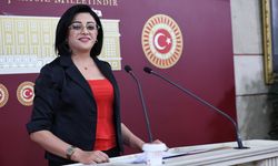 Esendere Gümrük Kapısı Meclis Gündeminde: “Yurttaşların Ekonomik Hakları Gasp Ediliyor”