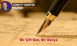Bir Çift Göz, Bir Dünya