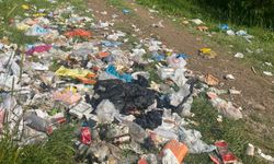 Yüksekova’da Doğa Katliamı: Piknik Alanı Çöplüğe Döndü