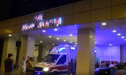 Van'da traktörün altında kalan çocuk hayatını kaybetti