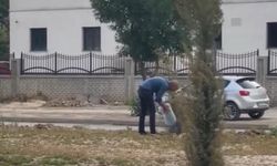 Yüksekova’da Esnaftan Örnek Davranış: Fidanları Sahiplendiler