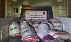 Erciş’te 2 ton kaçak avlanmış balık ele geçirildi