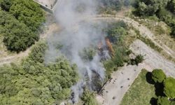 Van Gölü sahilinde yangın paniği