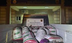 Van’da kaçak balık avlayan 16 kişiye 205 bin 360 lira idari para cezası uygulandı