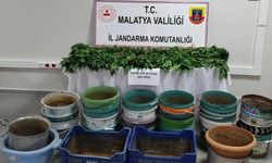 Malatya’da jandarmadan uyuşturucu operasyonu: 6 gözaltı