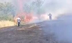 Siirt’te Fıstık Bahçesinde Yangın: Yaklaşık 100 Ağaç Zarar Gördü