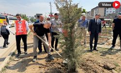 Yüksekova’da Gönüllüler Orta Refüjdeki Fidanların Bakımını Yaptı