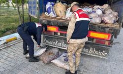 Van’da 19 ton 200 kilo inci kefali balığı ele geçirildi