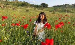 Iğdır’da gelincik tarlaları görsel şölen sunuyor
