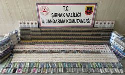 Şırnak’ta 5 milyon lira değerinde gümrük kaçağı ürün ele geçirildi