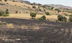 Tunceli’de 34 dönüm arpa yangında kül oldu