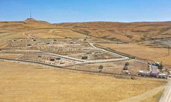 Van Büyükşehir Belediyesi doğal yaşam alanına 20 bin ağaç dikti